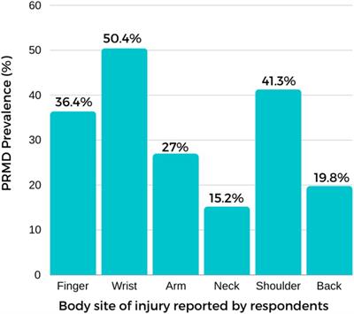 Playing-related musculoskeletal disorders among Chinese conservatoire piano students: prevalence, risk factors and preventive interventions